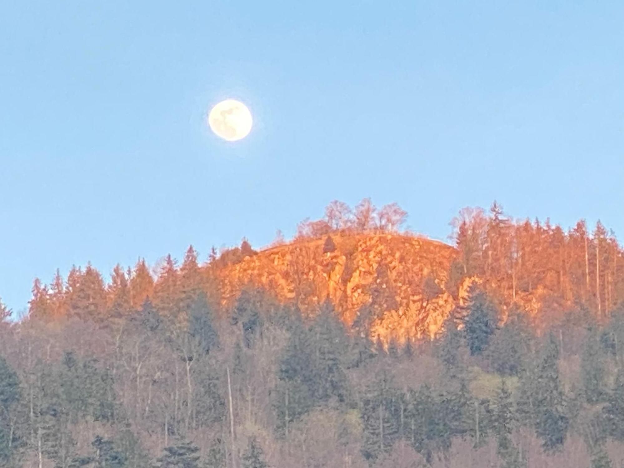 Auberge Le Bois Du Cornet La Forclaz Dış mekan fotoğraf